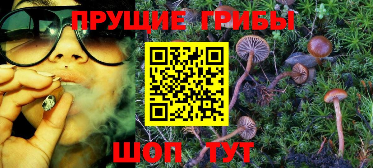 Псилоцибиновые грибы Psilocybine cubensis  Галлюциногенные грибы Psilocybine cubensis  Красногорск  Вход с VPN 